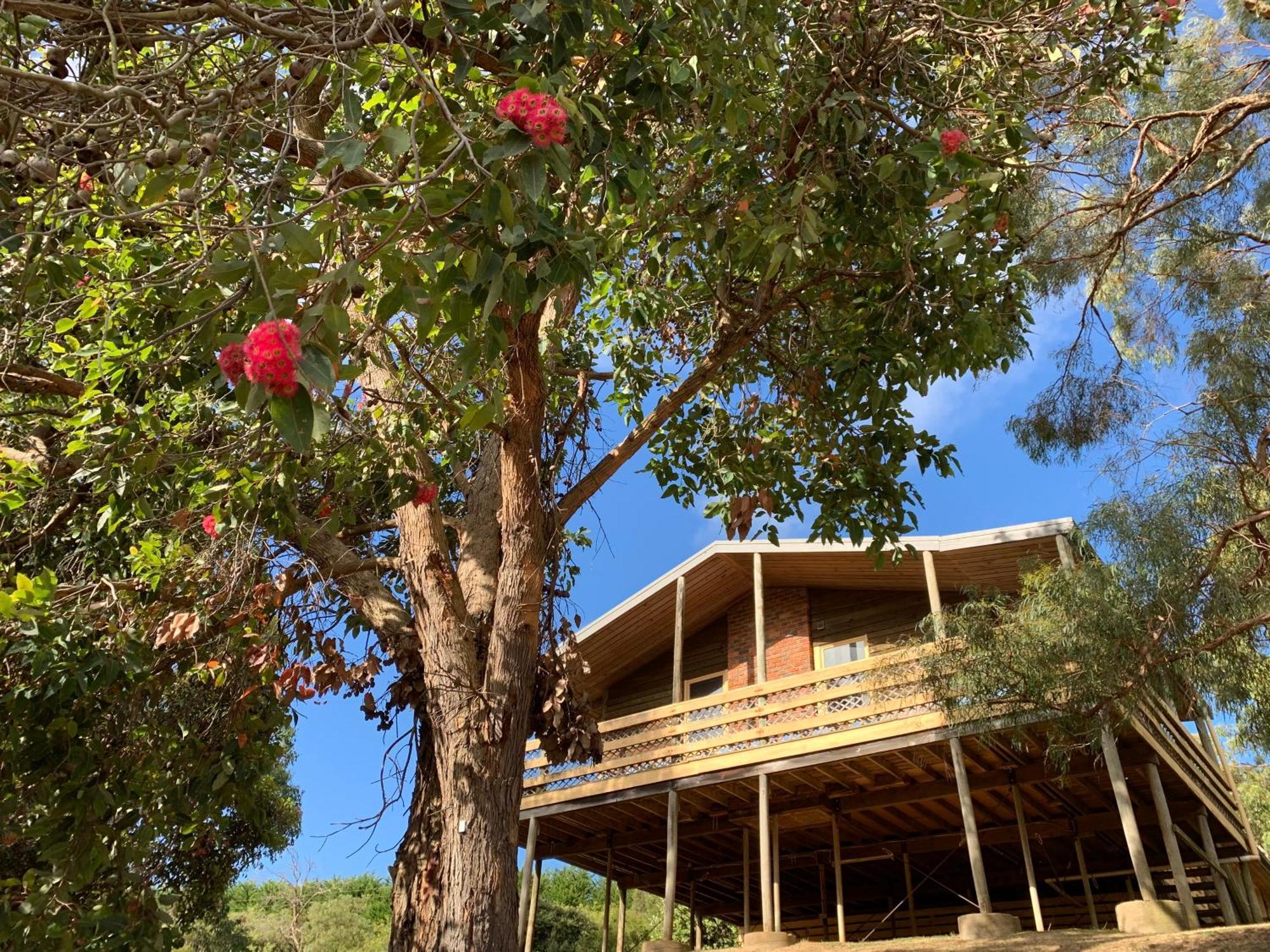 Iluka Retreat Glamping Village Red Hill South Exterior foto